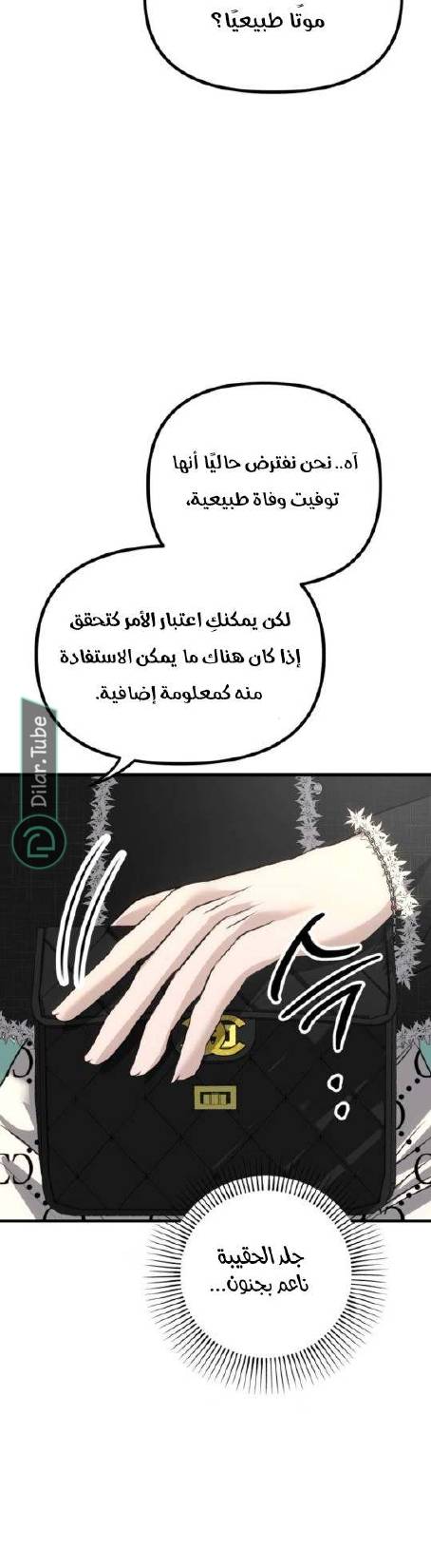 الصفحة 46