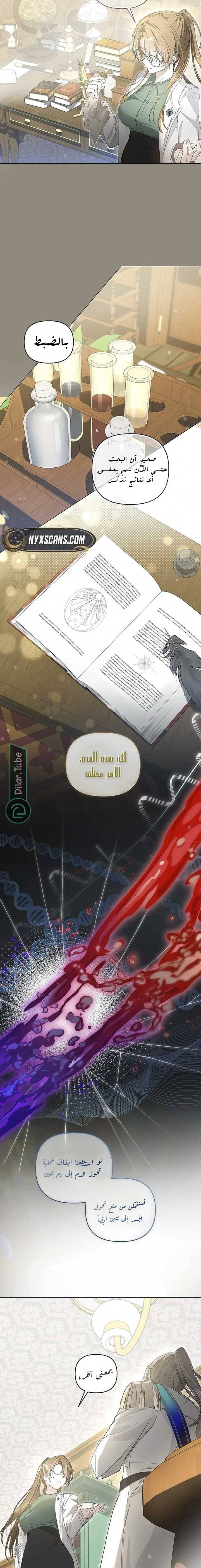 الصفحة 7