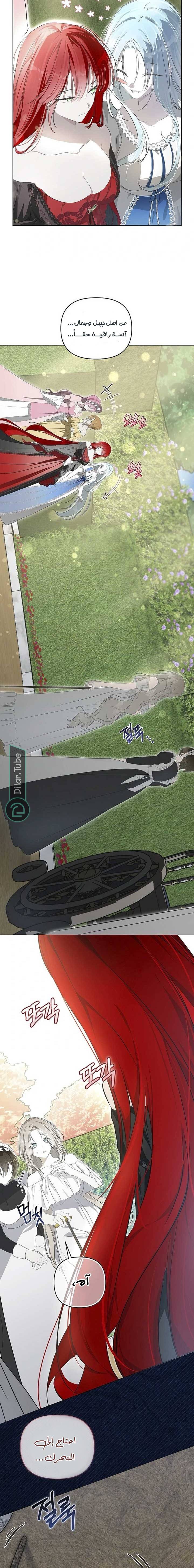 الصفحة 21