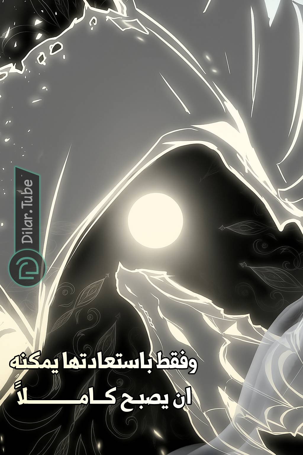 الصفحة 24