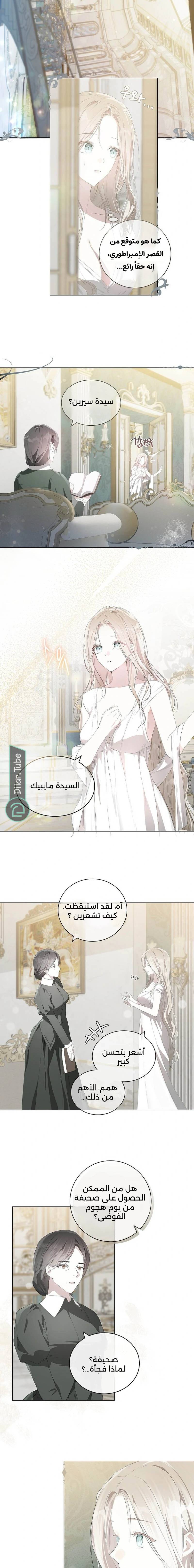 الصفحة 3