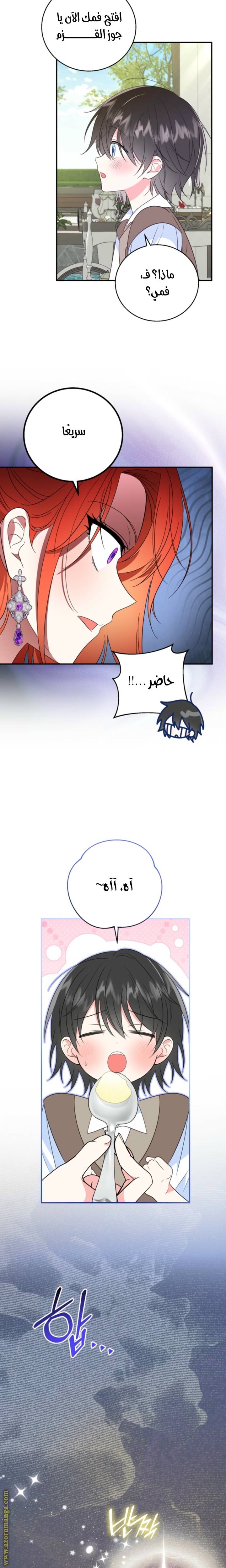 الصفحة 13