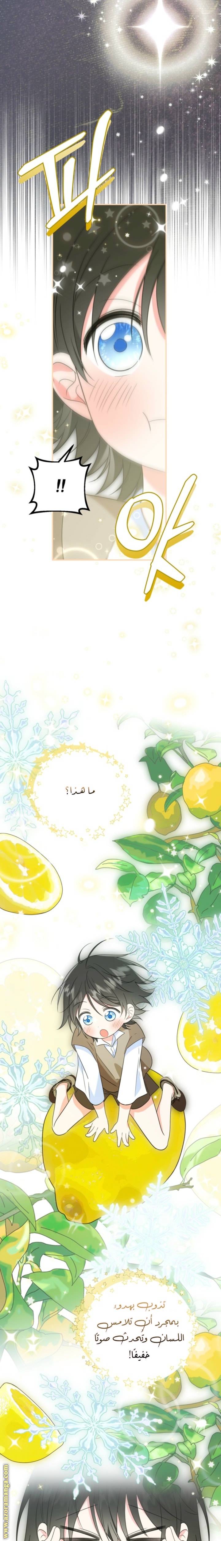 الصفحة 14