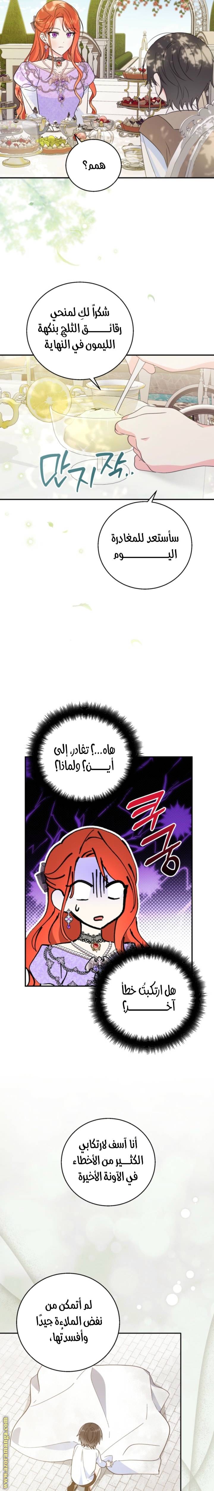 الصفحة 16