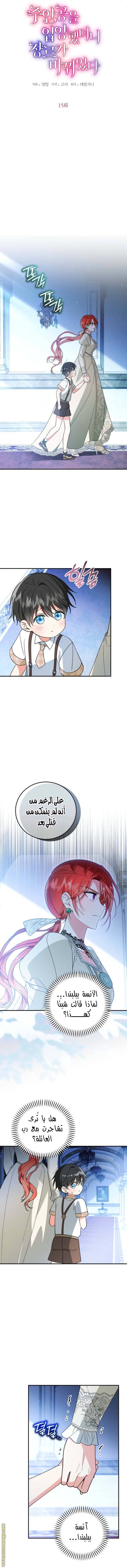 الصفحة 6