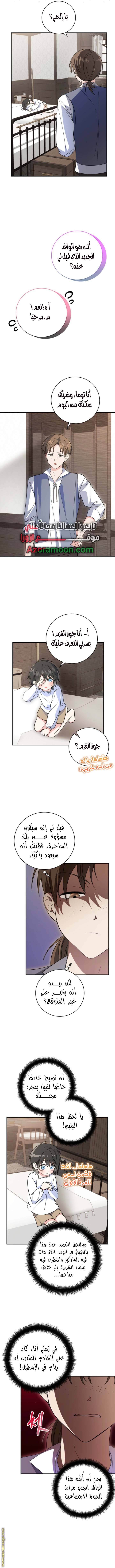 الصفحة 11
