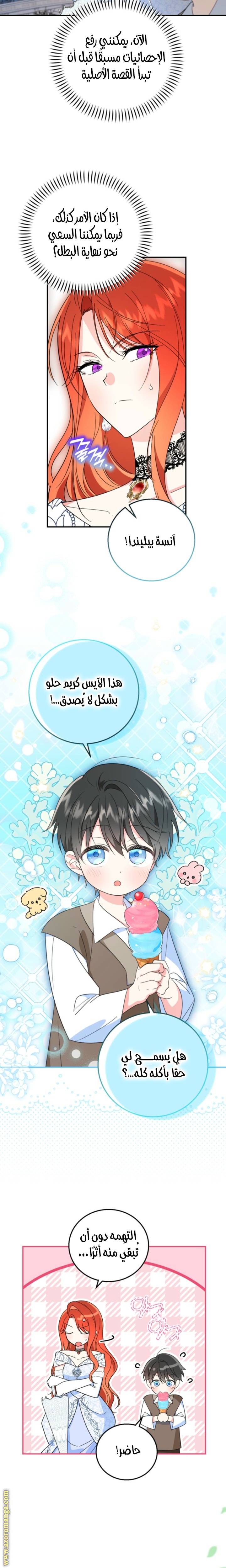 الصفحة 17