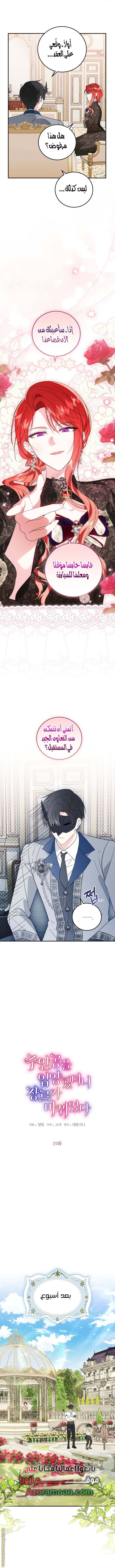 الصفحة 3