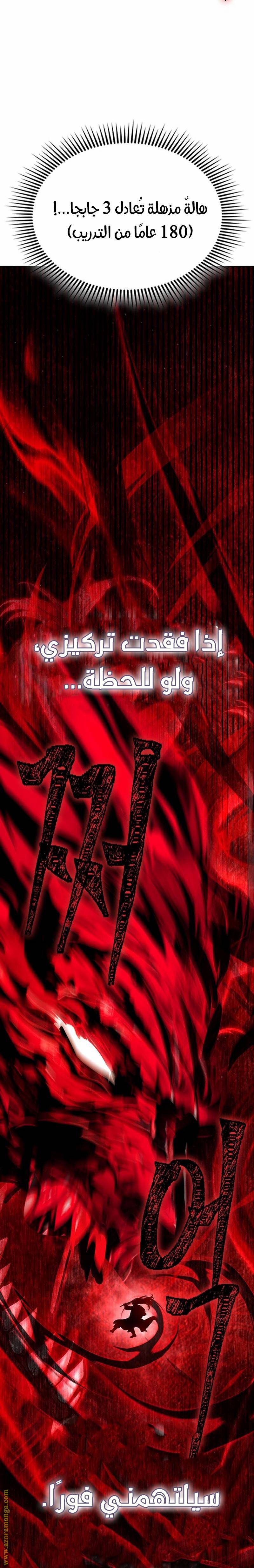 الصفحة 17
