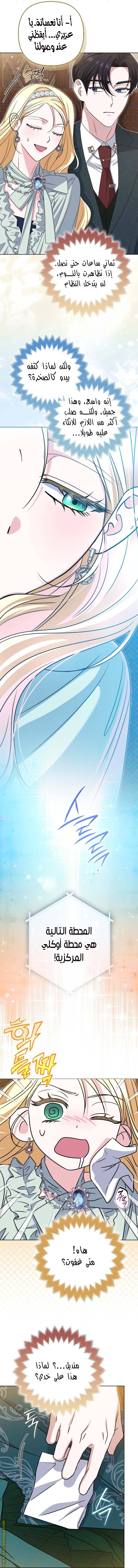 الصفحة 13