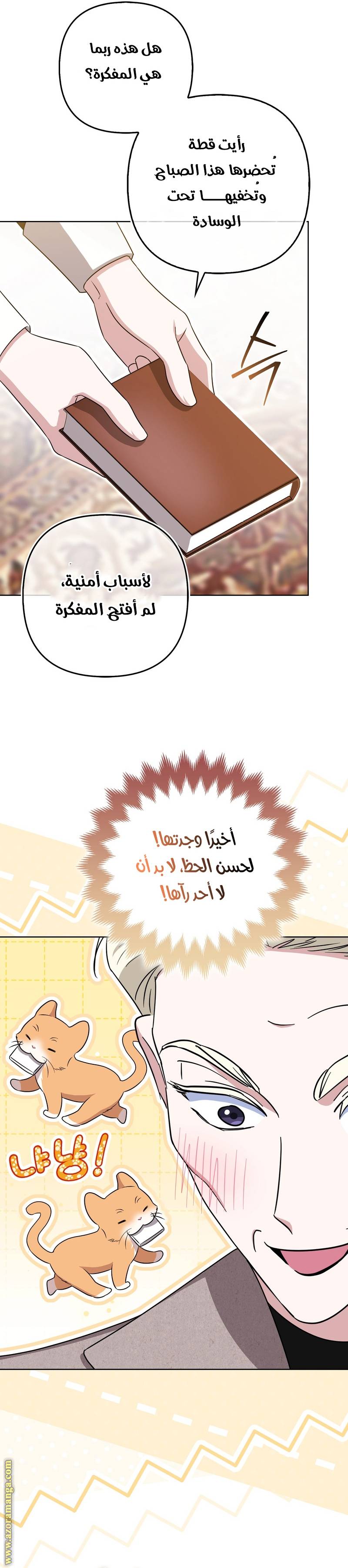 الصفحة 13