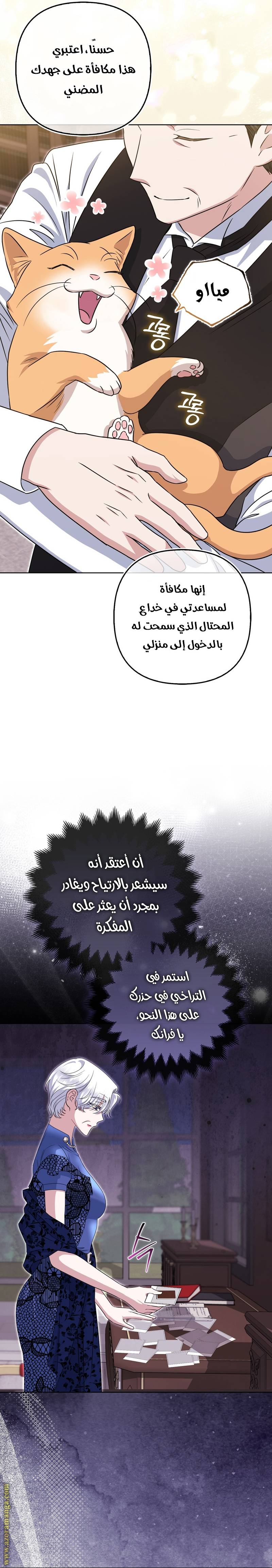 الصفحة 15