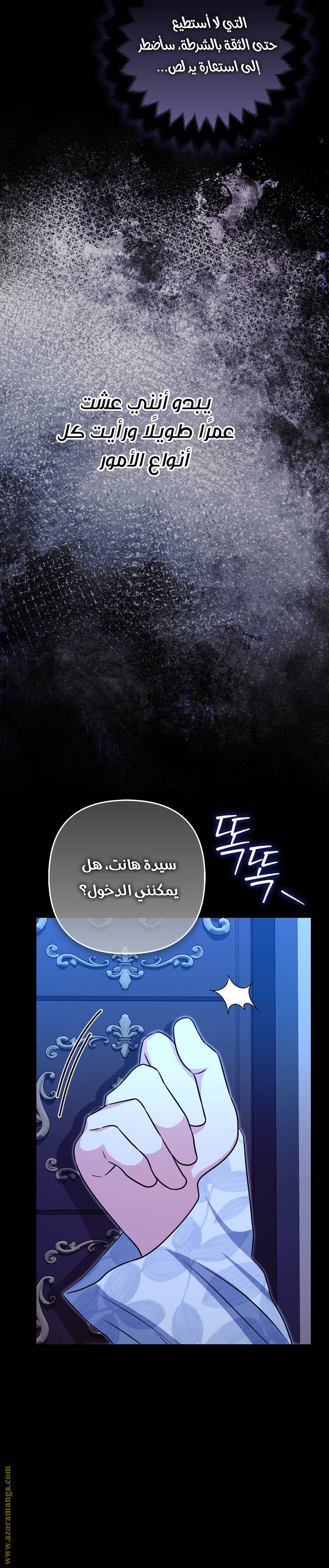 الصفحة 17