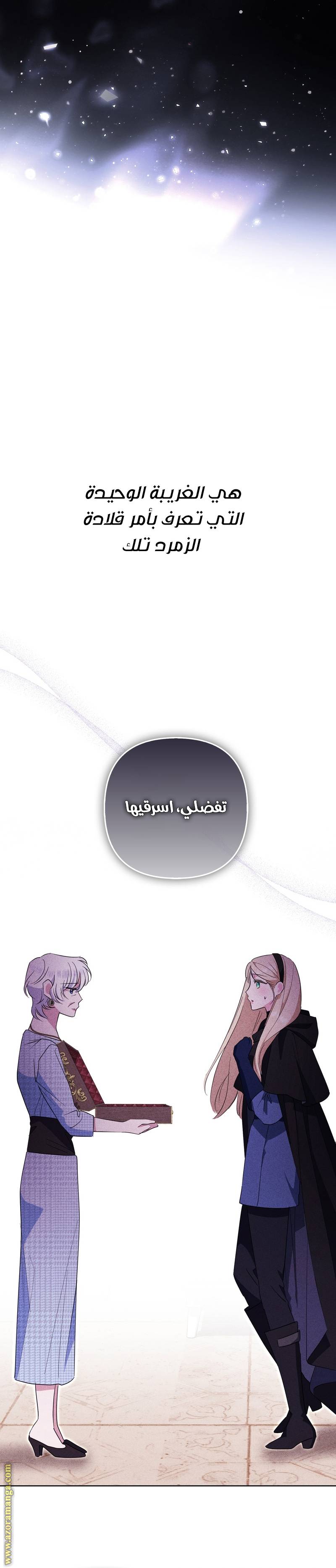 الصفحة 26