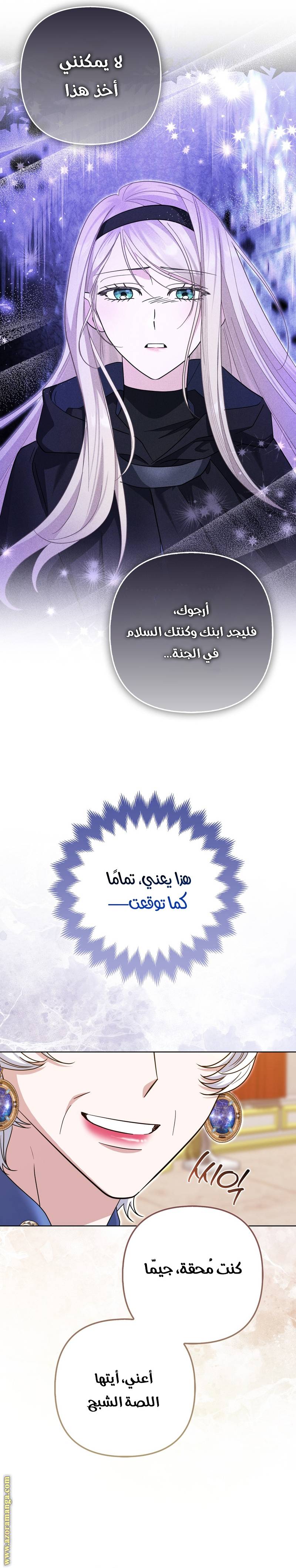 الصفحة 27