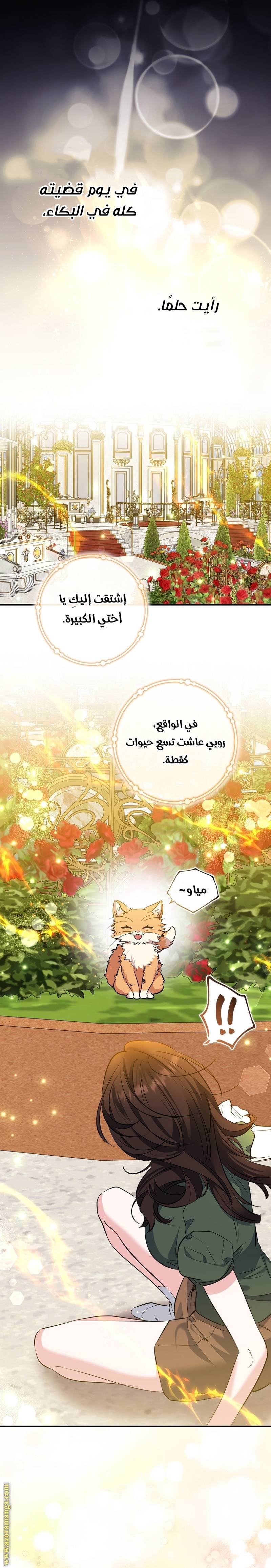 الصفحة 17