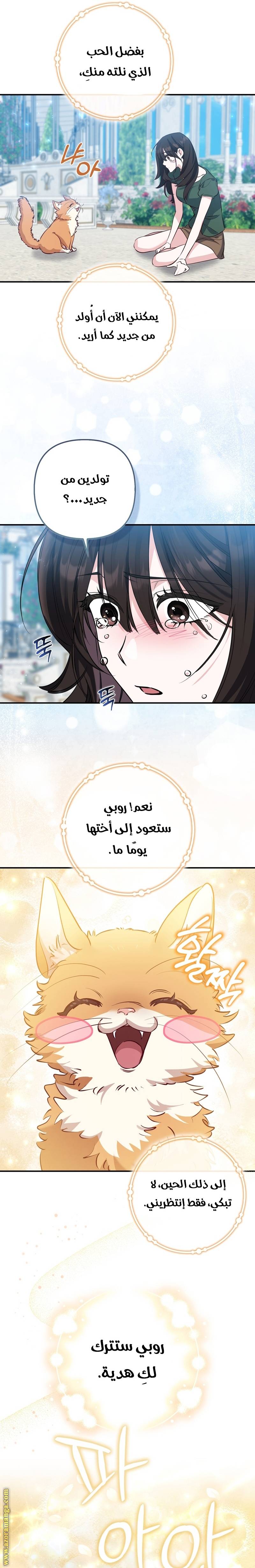 الصفحة 19