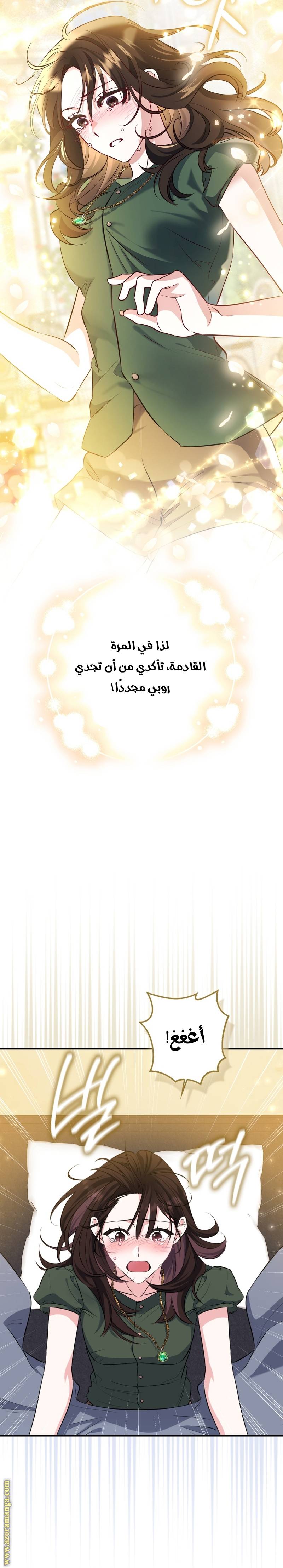 الصفحة 20