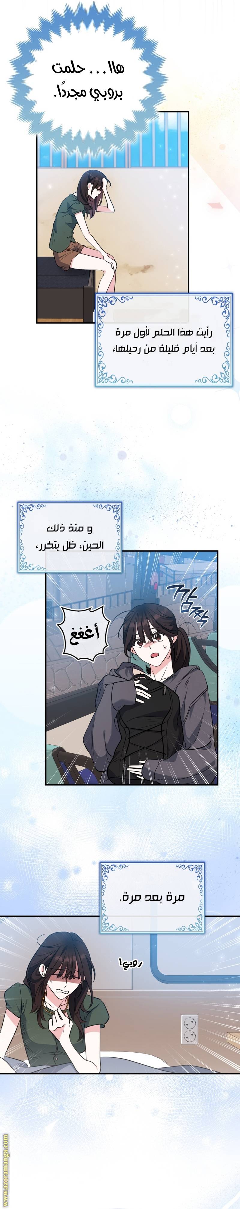 الصفحة 21