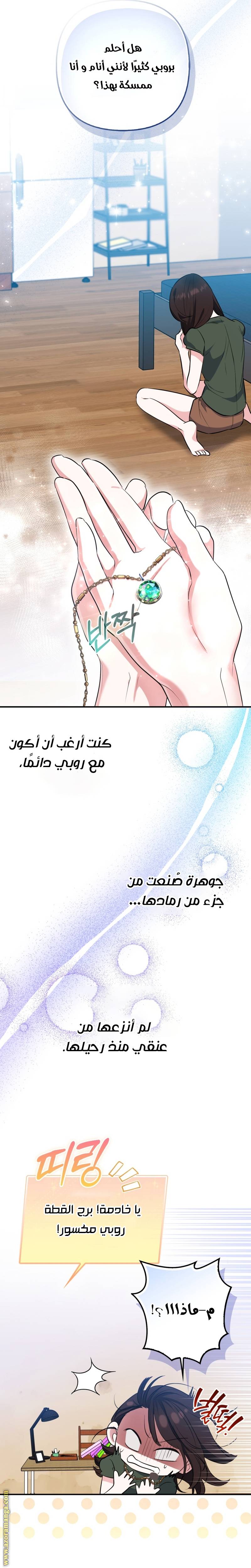 الصفحة 22
