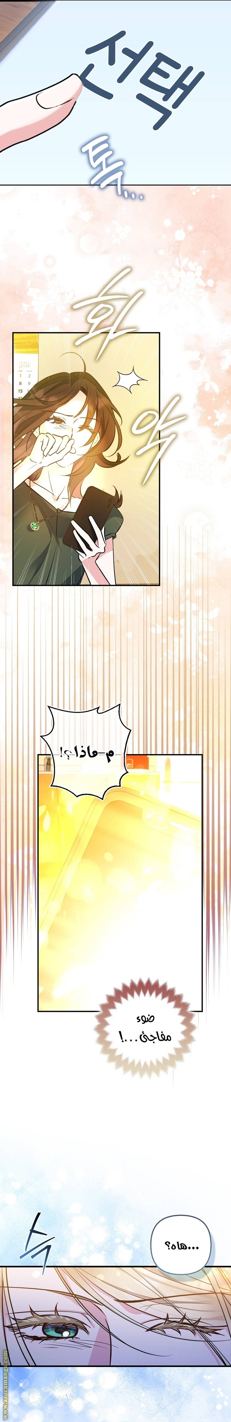 الصفحة 29