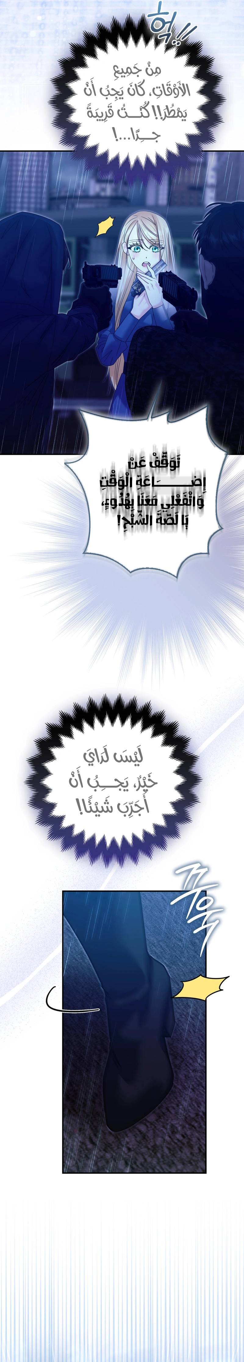 الصفحة 14