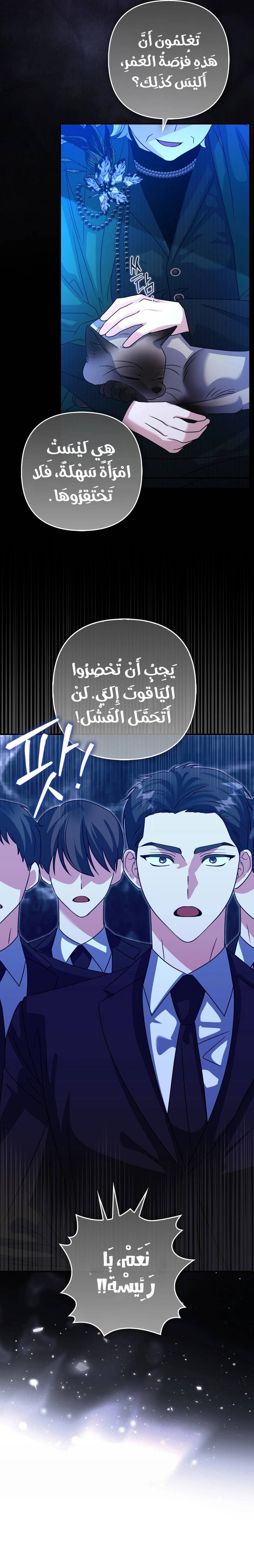 الصفحة 20