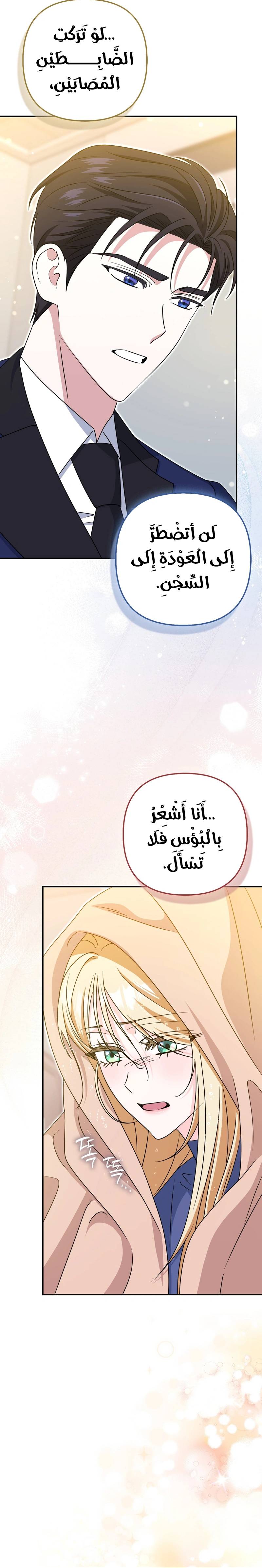 الصفحة 26