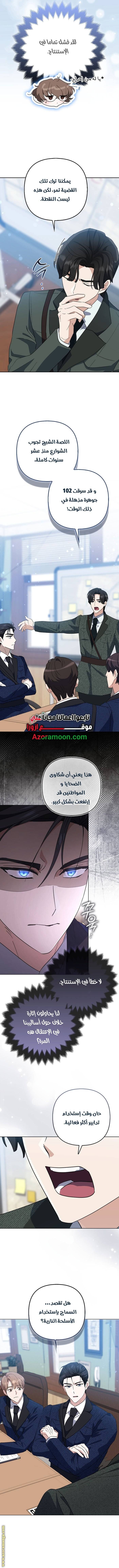 الصفحة 13