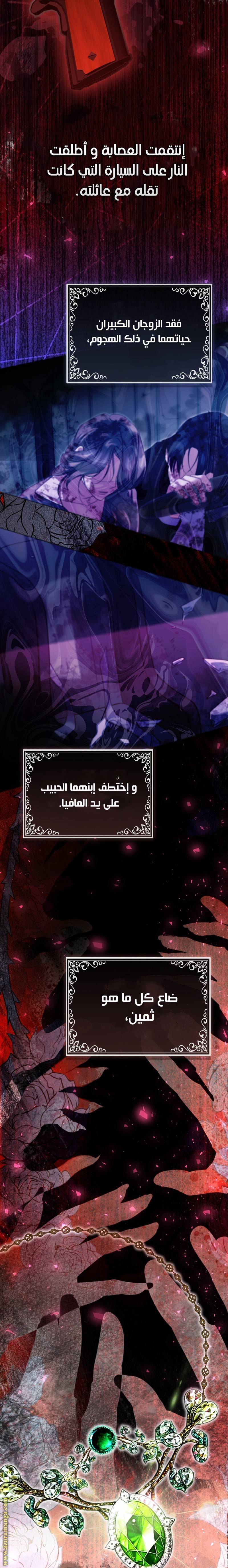 الصفحة 17