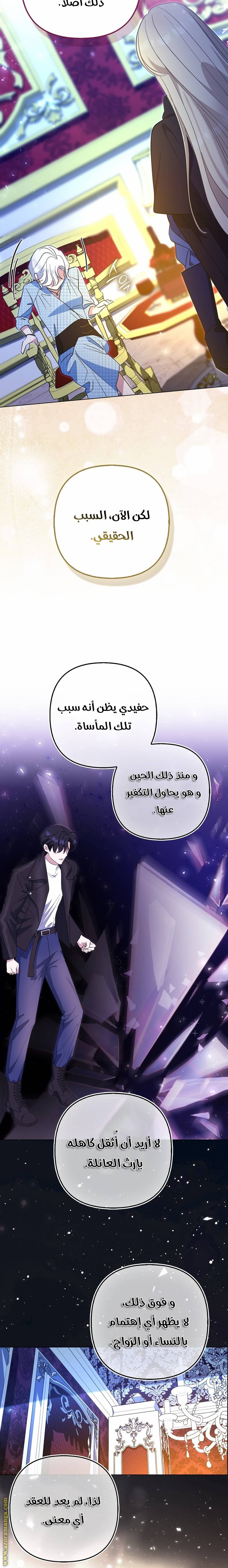 الصفحة 24