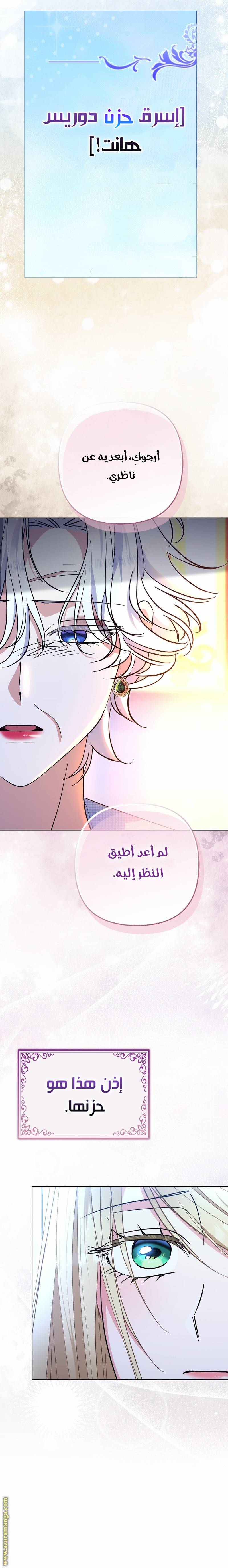 الصفحة 26