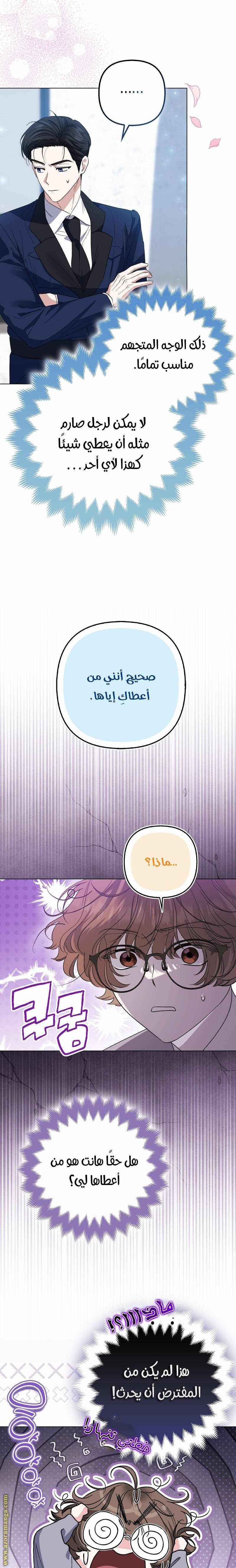الصفحة 13