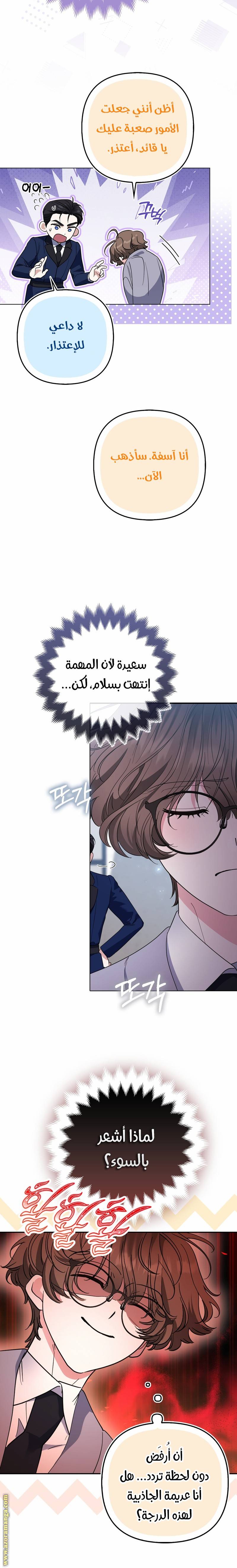 الصفحة 17