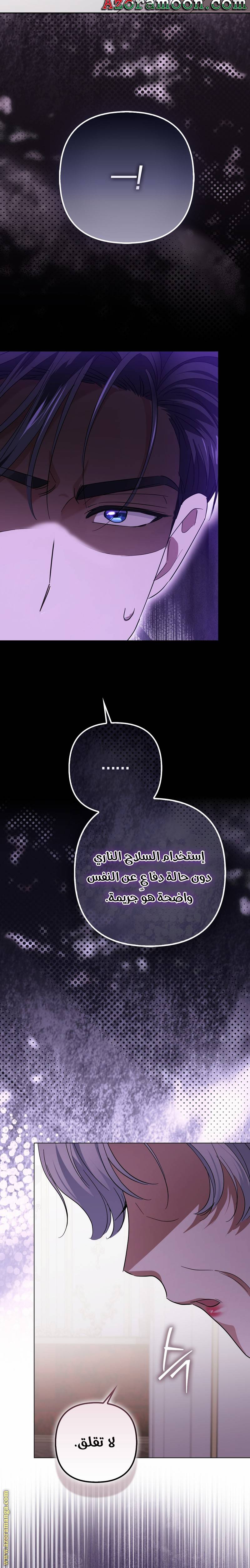 الصفحة 29