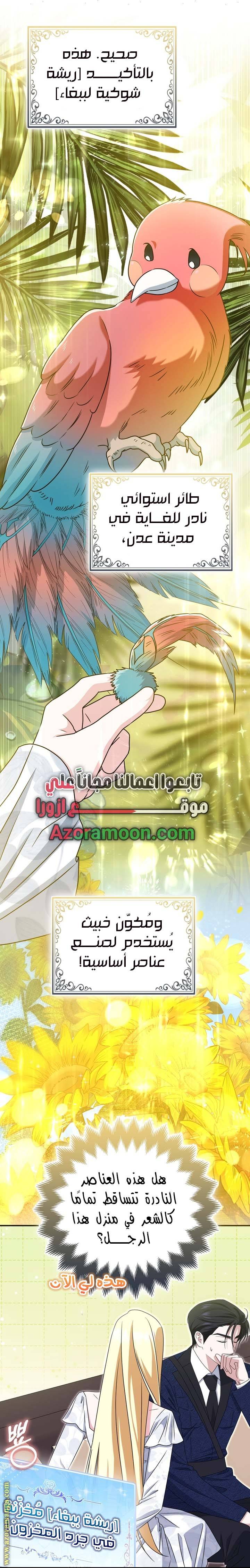 الصفحة 16