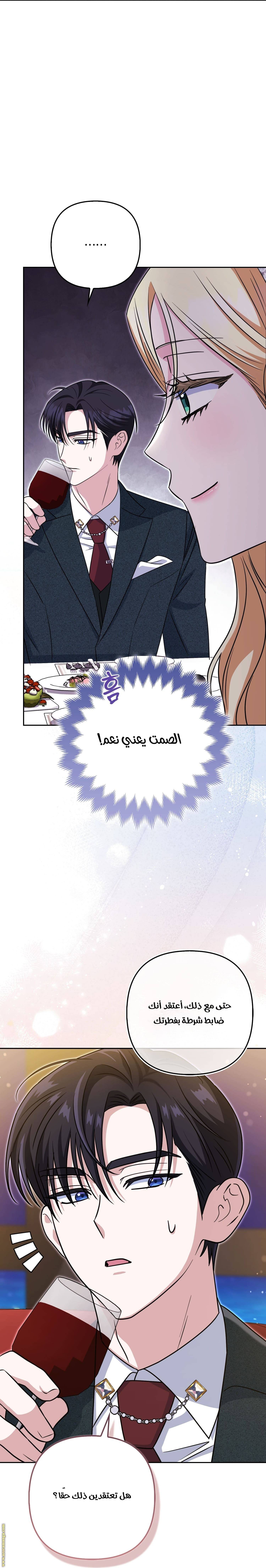 الصفحة 34