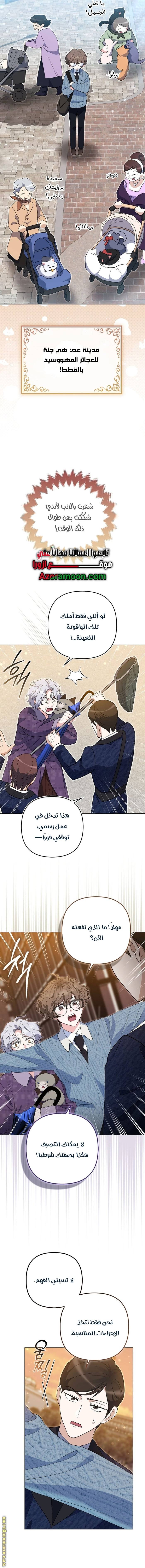 الصفحة 8