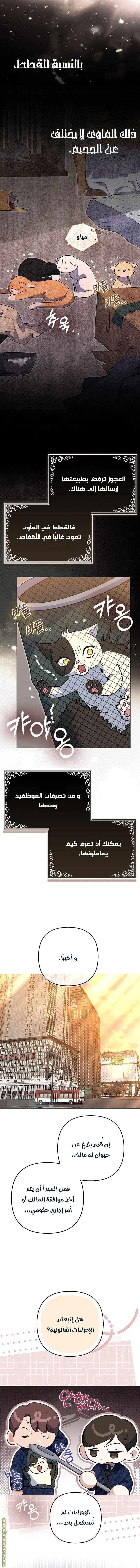 الصفحة 11