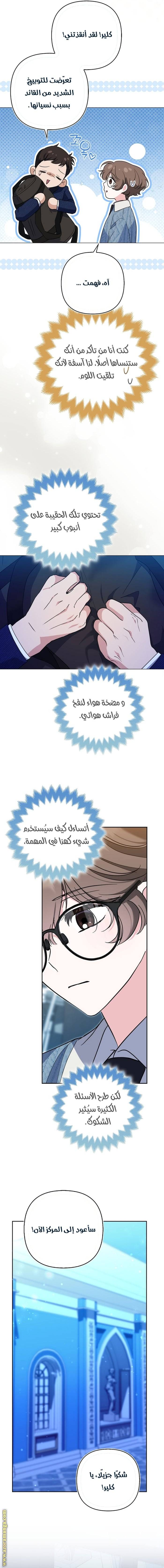 الصفحة 17