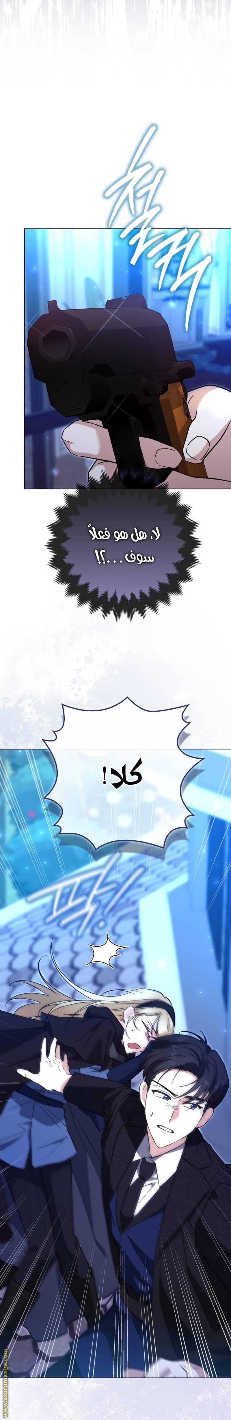 الصفحة 17