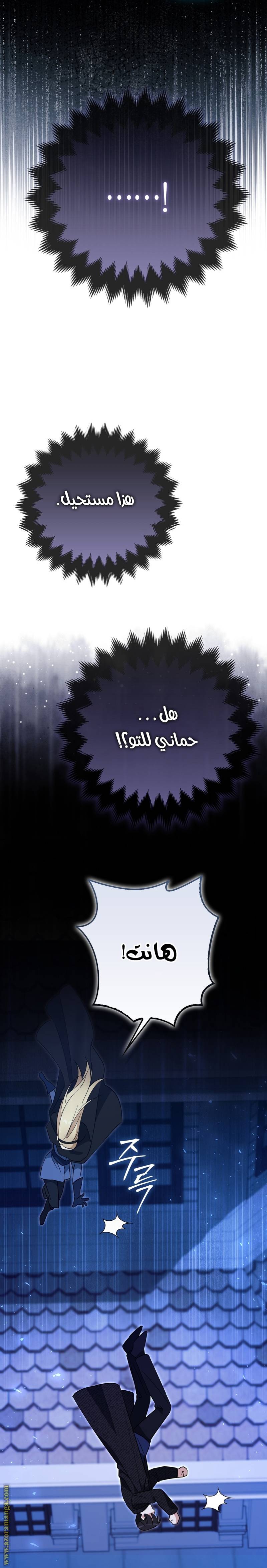 الصفحة 19