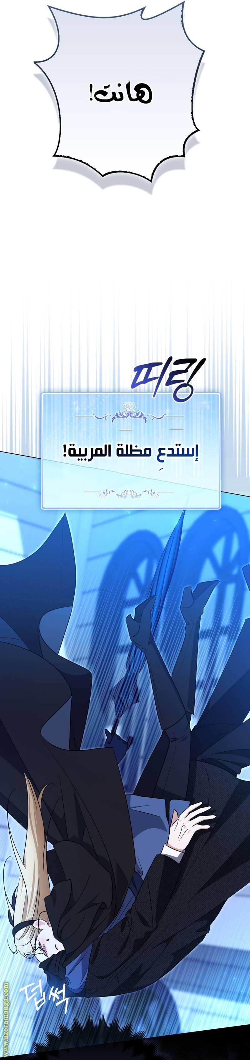 الصفحة 27