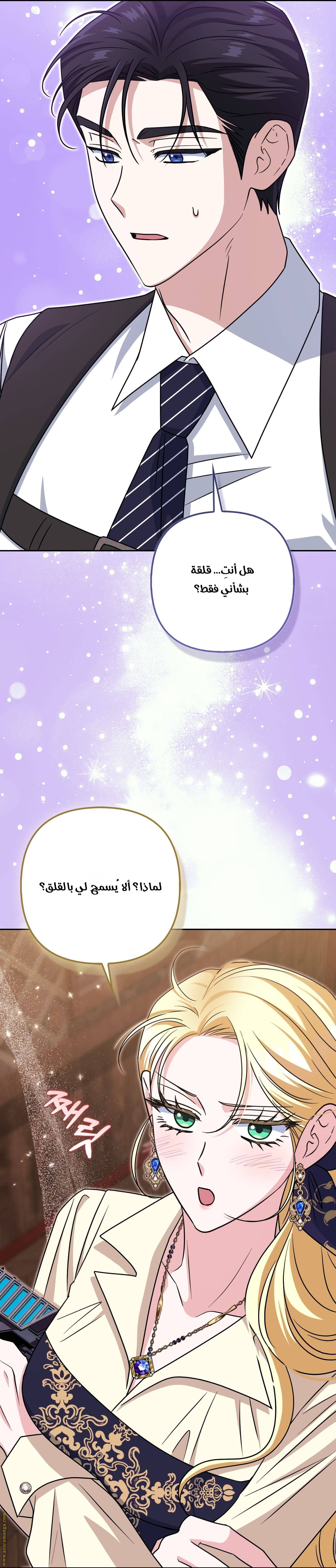 الصفحة 13