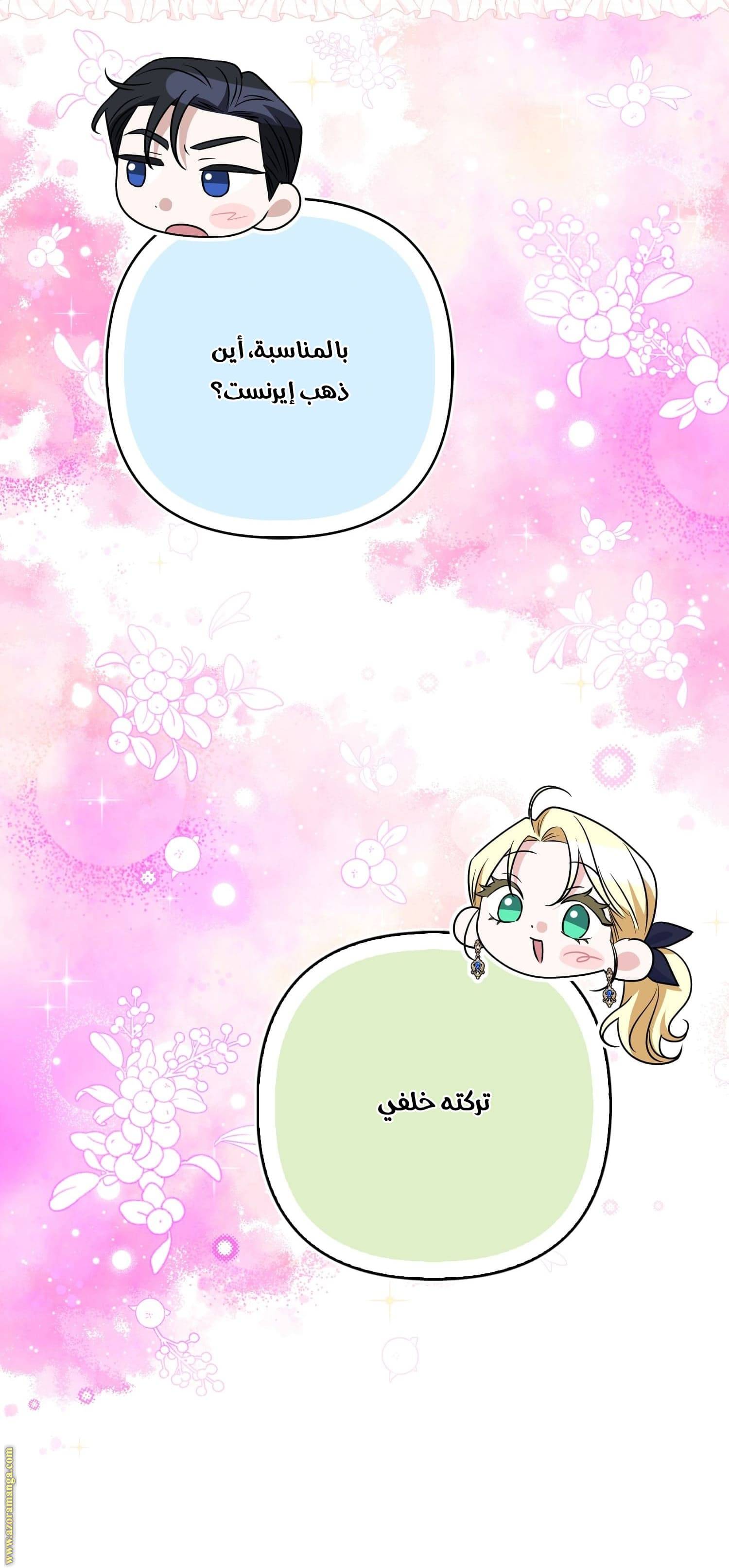 الصفحة 19