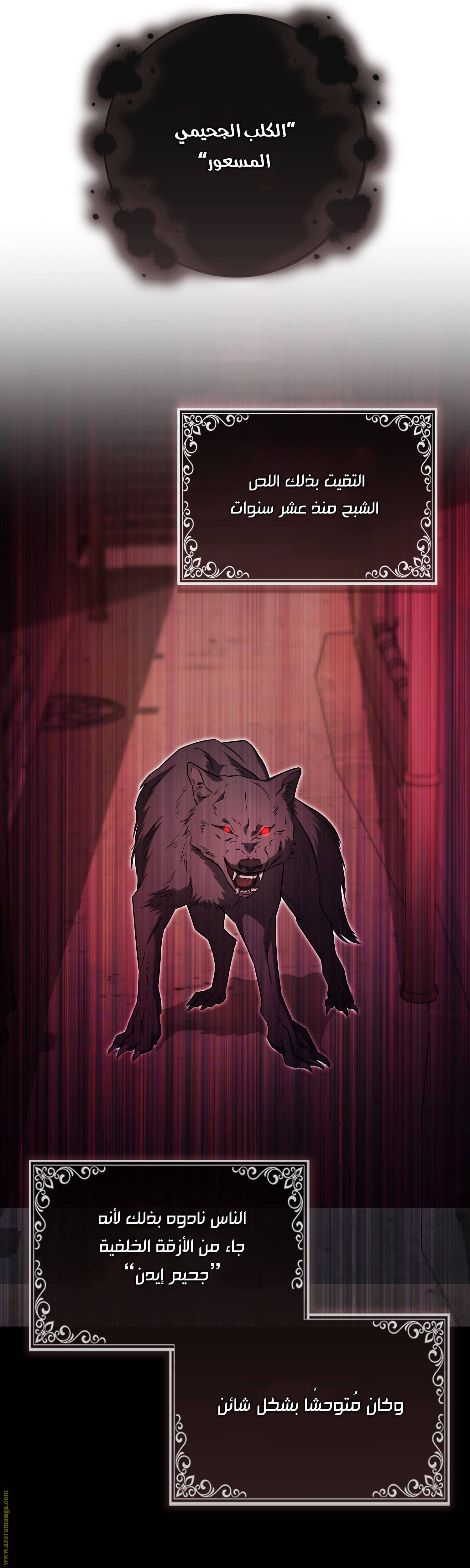 الصفحة 24
