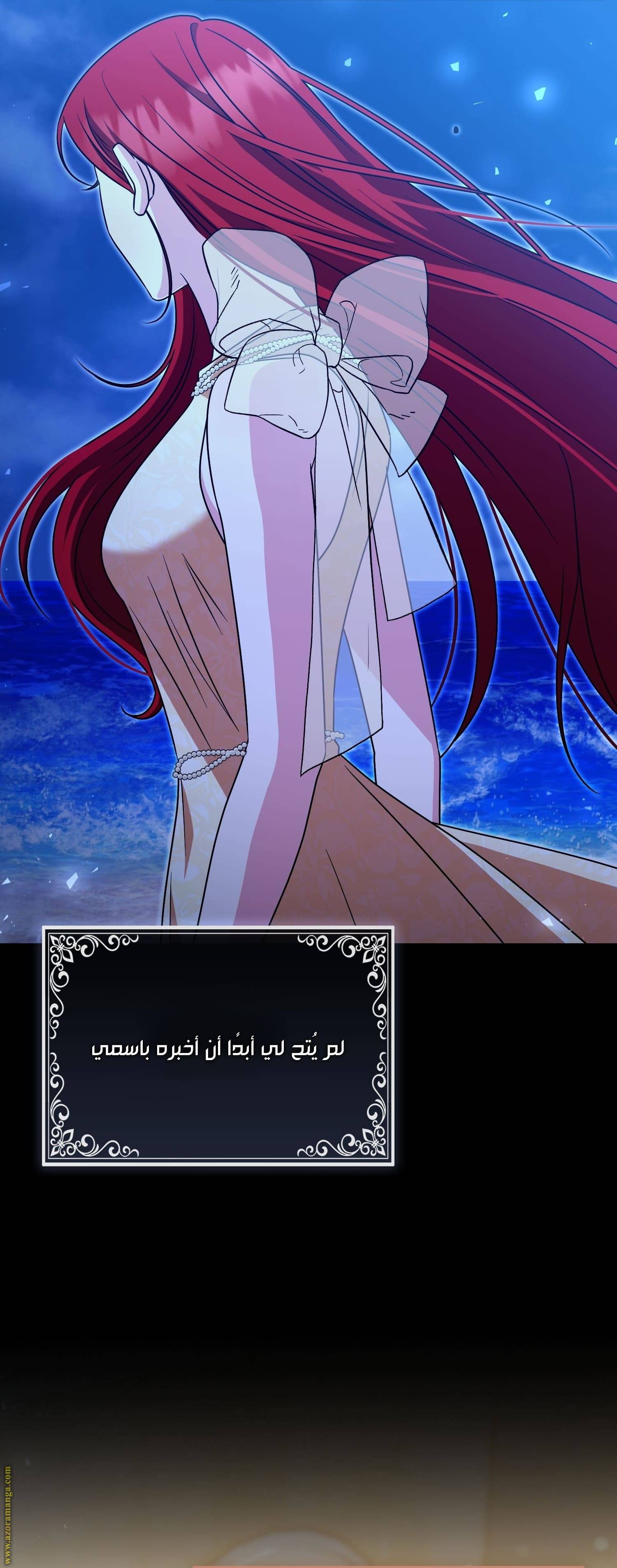 الصفحة 26