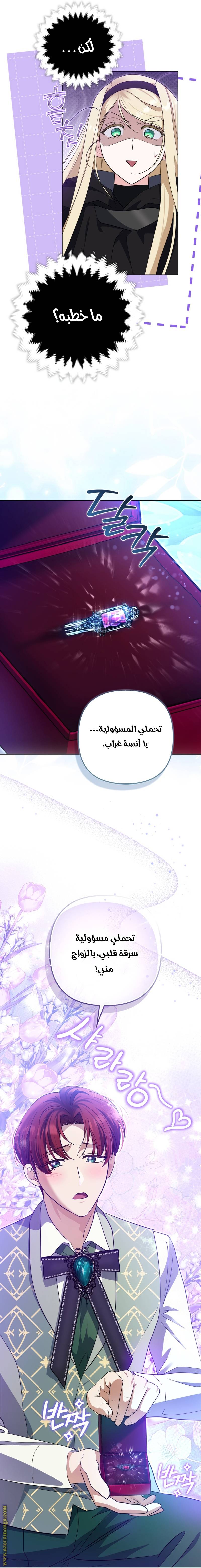 الصفحة 13
