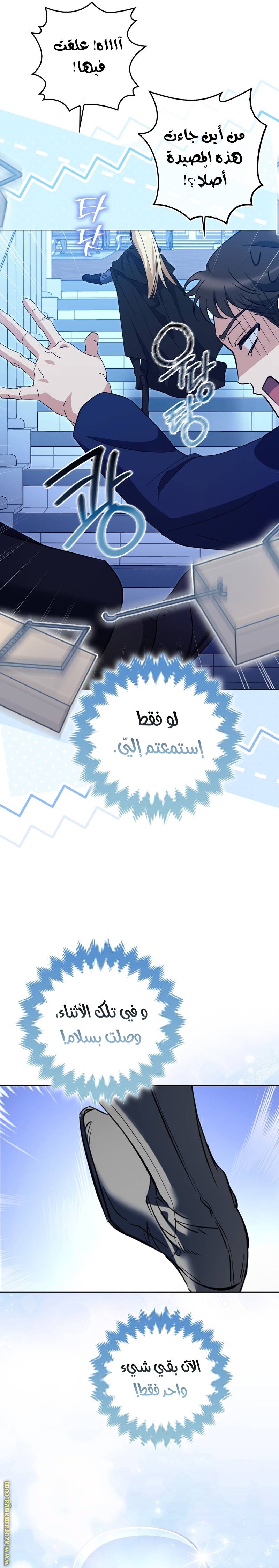 الصفحة 29