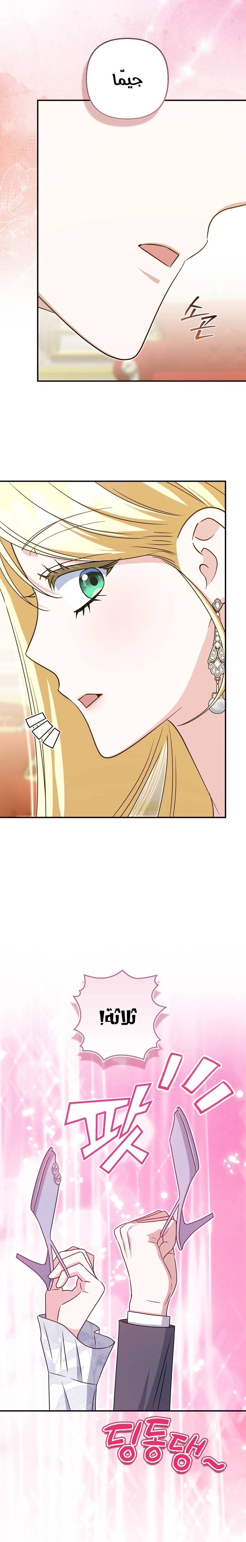 الصفحة 16